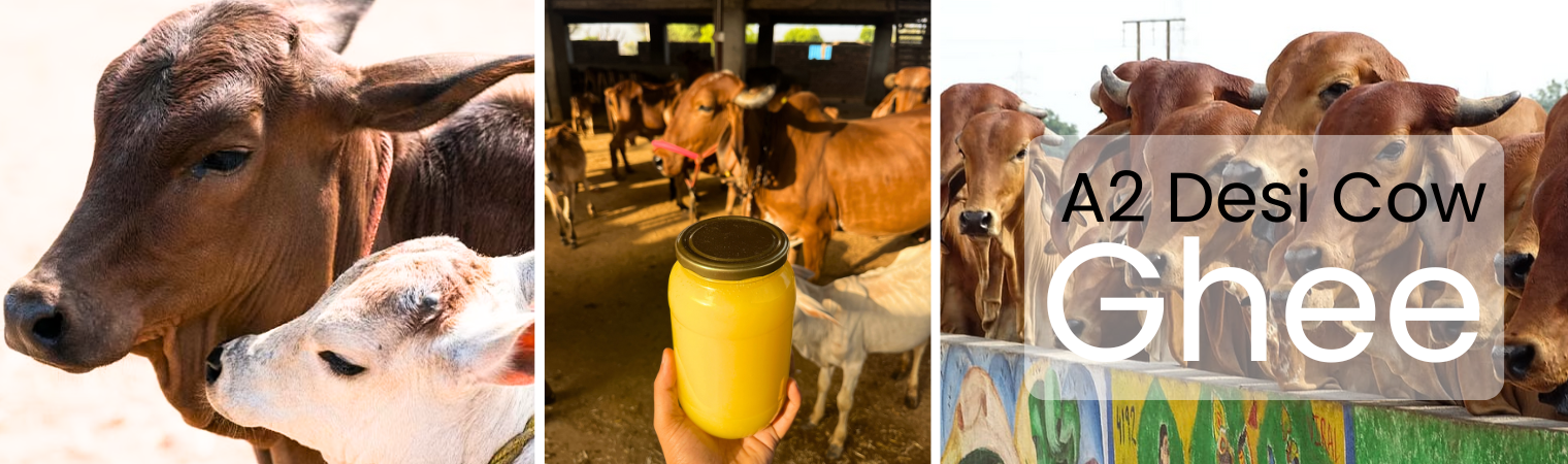 A2 desi cow ghee mohanam